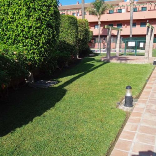 Vista de césped en finca privada