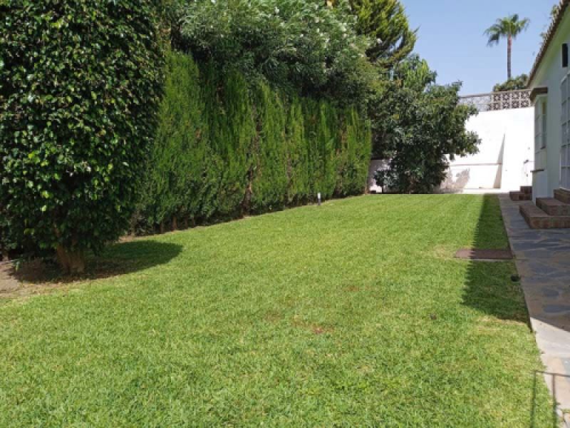 Vista de césped en finca privada