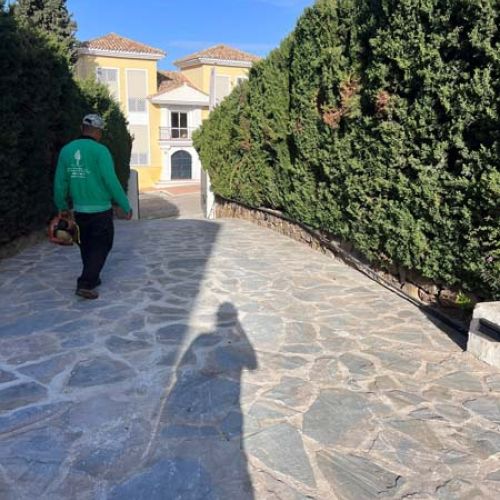 Trabajos de poda de setos en finca privada