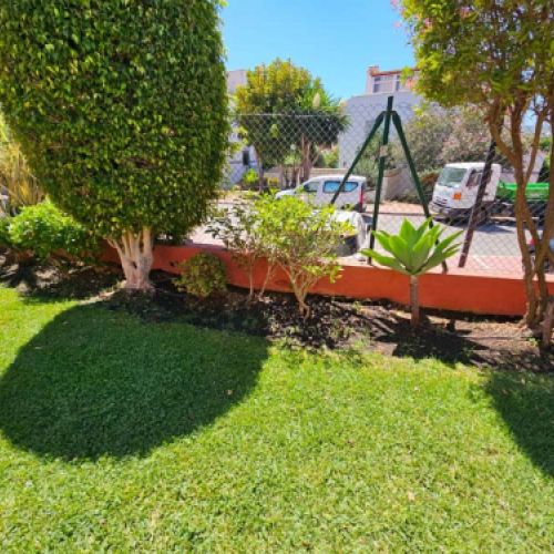 Setos y arbustos junto a valla delimitadora de finca