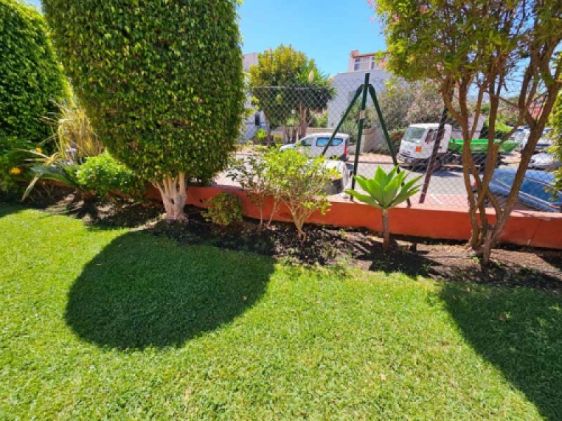 Setos y arbustos junto a valla delimitadora de finca