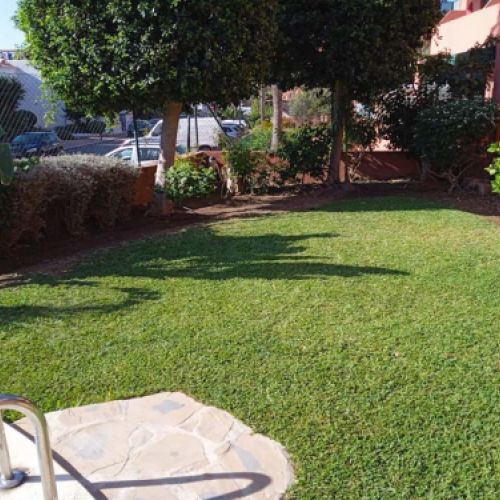 Césped junto a piscina