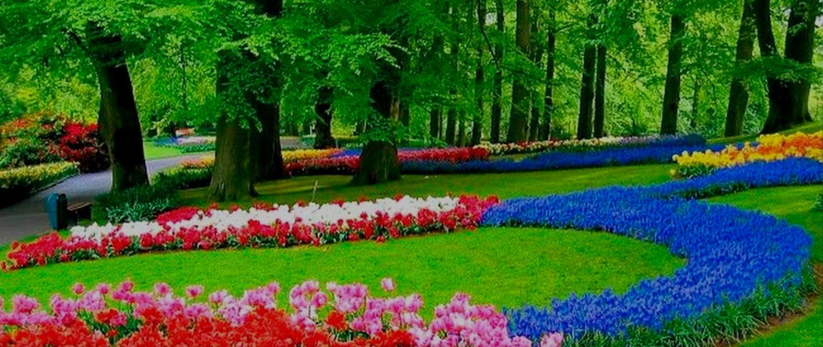 Jardinería integral Estepona