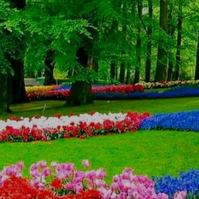 Jardinería integral Estepona