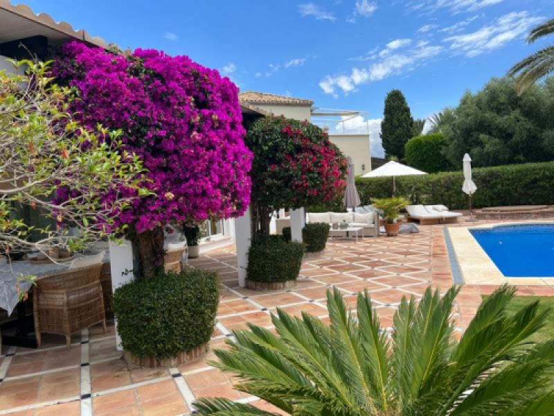 Zona arbolada junto a piscina con suelo embaldosado