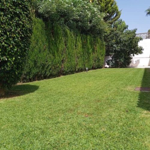 Vista de césped en finca privada