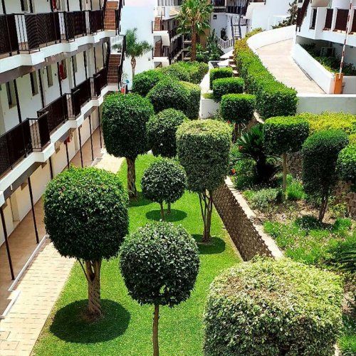 Limpieza de comunidades en Málaga