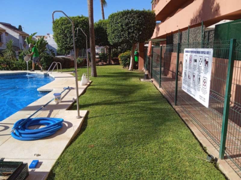 Césped junto a piscina