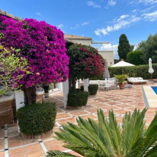 Zona arbolada junto a piscina con suelo embaldosado